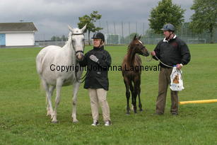 missphaeta_bjorkangselectra_3534.jpg