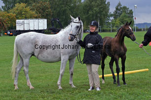 missphaeta_bjorkangselectra_3539-2.jpg