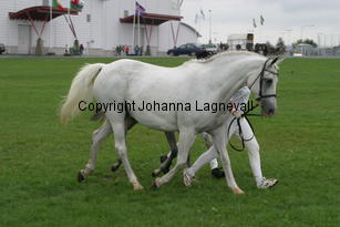 rislyckanssamantha_3439.jpg
