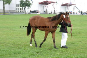 ronja_3315.jpg