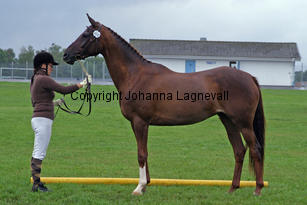 tequila_3375-2.jpg