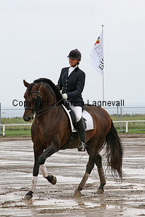 aimg_3292-2.jpg