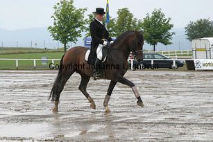 aimg_3297-2.jpg