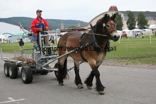 img_3186.jpg
