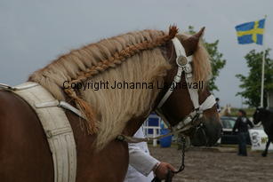 img_3726.jpg