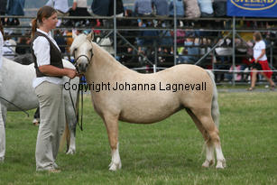 brightamber_3088-2.jpg