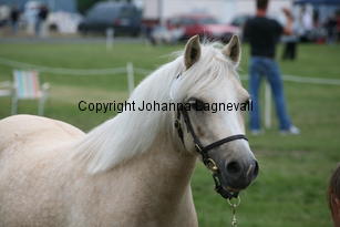 brightamber_3136.jpg
