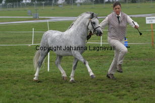 dyfrdwyserenydyffryn_3247.jpg