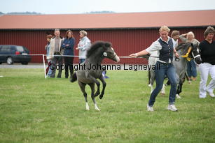 ekbackensjarrah_3202.jpg