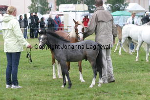 ekbackensjarrah_3256.jpg