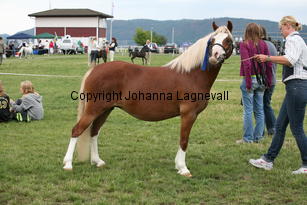 ekbackensjasmine_3216.jpg