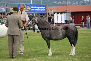 ekbackenssmilla_3013-2.jpg