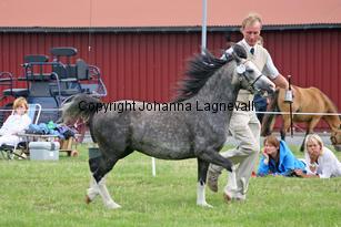 ekbackenssmilla_3015-2.jpg