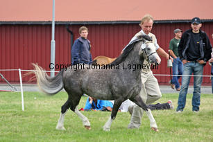 ekbackenssmilla_3016-2.jpg