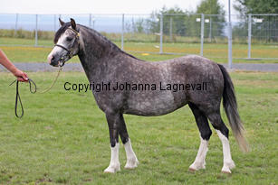 ekbackenssmilla_3021-3.jpg