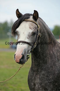 ekbackenssmilla_3028-2.jpg