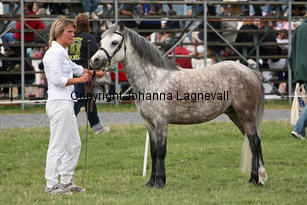 laerydspolka_3097-2.jpg