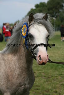 molstabergslordmilligan_0304.jpg