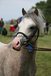 molstabergslordmilligan_0306.jpg