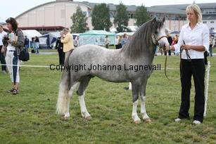 molstabergslysander_0307.jpg
