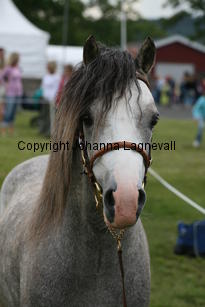 molstabergslysander_0310.jpg