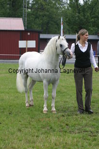 moondelightidefix_3262.jpg