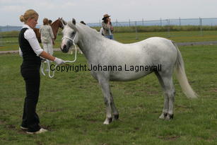 moondelightneresis_3006.jpg