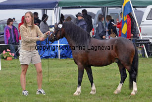 salko_3207-2.jpg
