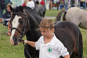 steinrudllewelyn_3041-2.jpg