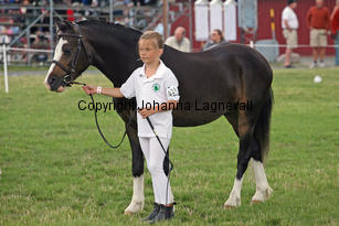 steinrudllewelyn_3046-2.jpg