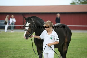 steinrudllewelyn_3047.jpg