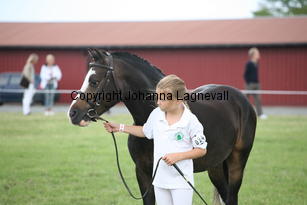 steinrudllewelyn_3048.jpg