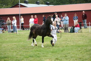 steinrudllewelyn_3074.jpg