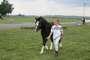 steinrudllewelyn_3123.jpg