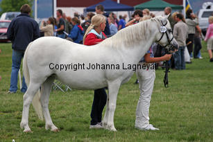 verdrefawrbodlon_3104-2.jpg