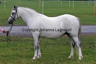 verdrefawrmeirwen_3273-2.jpg