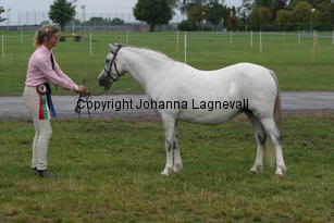 verdrefawrmeirwen_3274.jpg