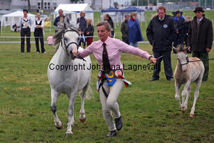 verdrefawrmeirwen_3319-2.jpg
