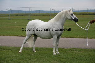 waitwithdelight_3144.jpg