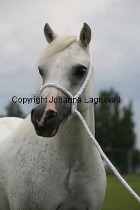 waitwithdelight_3148.jpg