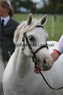 kulltorpsbelinda_0176.jpg