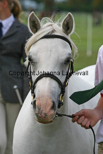 kulltorpsbelinda_0177-2.jpg