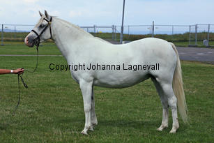 kulltorpsbelinda_0251-2.jpg