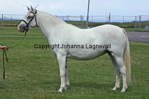 kulltorpsbelinda_0252-2.jpg