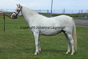kulltorpsbelinda_0253-2.jpg