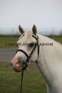 kulltorpsbelinda_0255.jpg