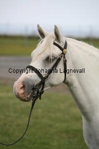 kulltorpsbelinda_0256.jpg
