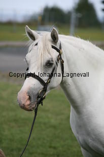 kulltorpsbelinda_0258.jpg