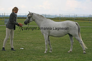 kulltorpszita_0273-2.jpg