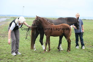 simbergshennie_3296.jpg